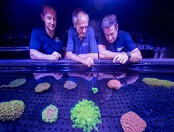 Cairns Aquarium General Admission Tickets with Living Coral Biobank Tour